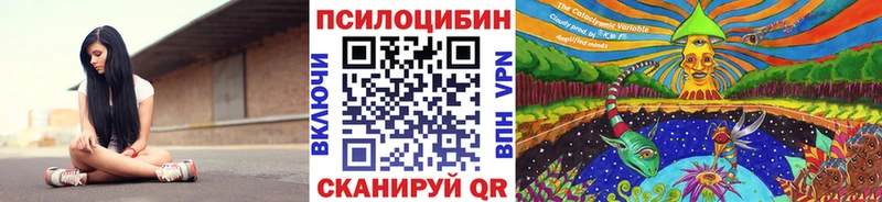 Купить закладки Моздок Псилоцибиновые грибы Magic Shrooms